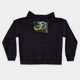 Baby Chicken and a Fairy house Kids Hoodie